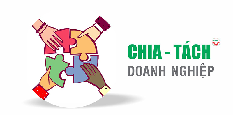 EMC - Dịch vụ tư vấn chia - tách doanh nghiệp